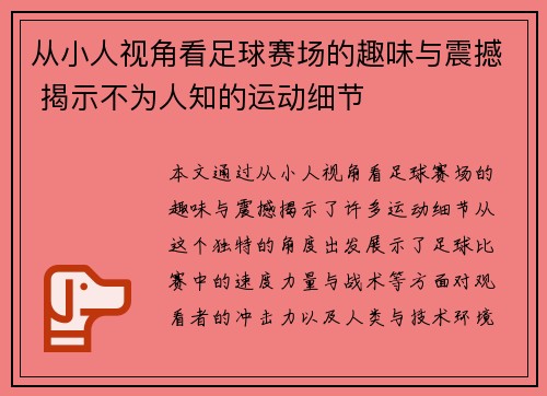 从小人视角看足球赛场的趣味与震撼 揭示不为人知的运动细节