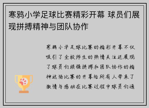 寒鸦小学足球比赛精彩开幕 球员们展现拼搏精神与团队协作