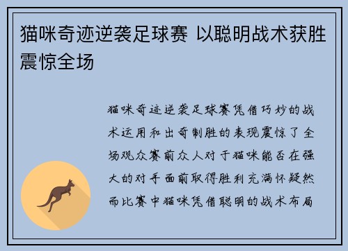 猫咪奇迹逆袭足球赛 以聪明战术获胜震惊全场
