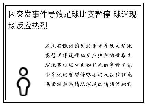 因突发事件导致足球比赛暂停 球迷现场反应热烈