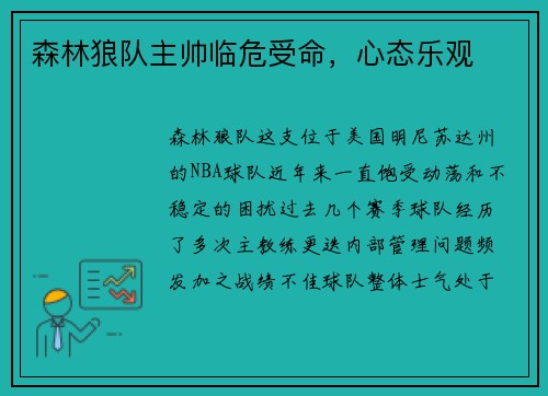 森林狼队主帅临危受命，心态乐观