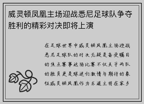 威灵顿凤凰主场迎战悉尼足球队争夺胜利的精彩对决即将上演