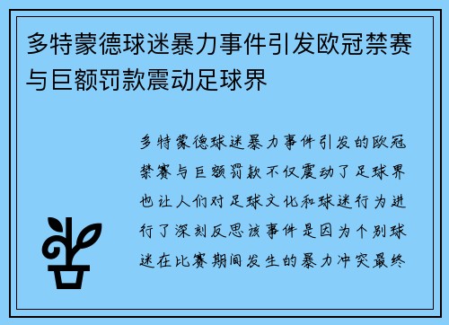 多特蒙德球迷暴力事件引发欧冠禁赛与巨额罚款震动足球界