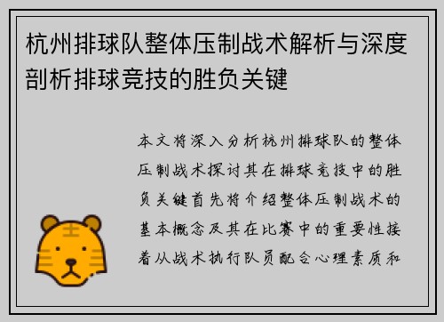 杭州排球队整体压制战术解析与深度剖析排球竞技的胜负关键